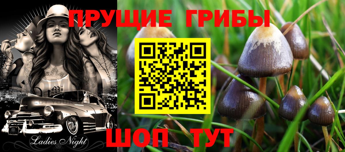 Галлюциногенные грибы прущие грибы Керчь