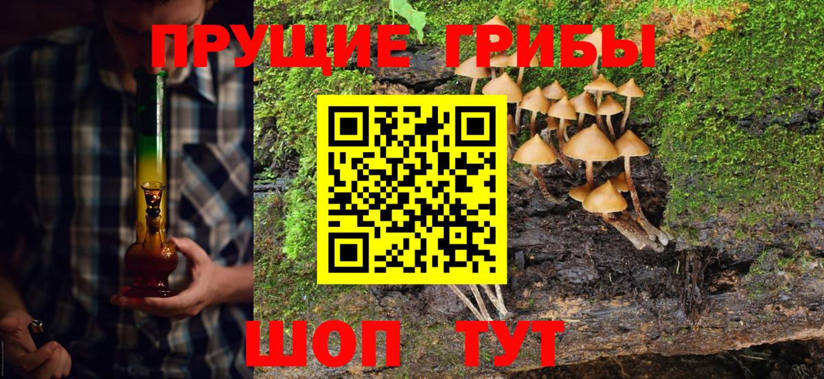 Галлюциногенные грибы Cubensis  Вход с VPN  Керчь  Псилоцибиновые грибы MAGIC MUSHROOMS 